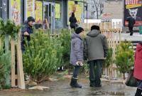 Новый год-2018: почем продают праздничные елки в Киеве
