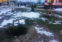 Новогодний вандализм: в Киеве воруют елки из скверов и аллей
