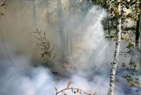 За прошедшие сутки в Украине возник 121 пожар на открытых территориях