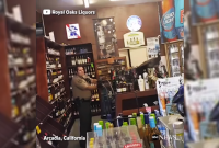 Дикий павлин залетел в винный магазин, и устроил в нем погром (видео)