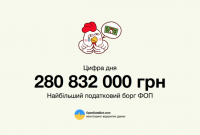 ФОПы задолжали почти 4 млрд грн налоговых сборов