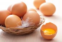 Диетологи напомнили о пользе куриных яиц для здоровья