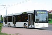 Киев купит у белорусов сразу 100 автобусов