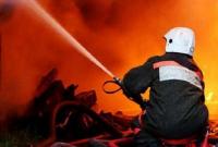 В Португалии лесные пожары унесли жизни 19 человек