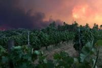 Число жертв лесных пожаров в Португалии превысило 40 человек