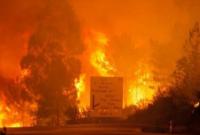 Украинцев среди жертв крупного пожара в Португалии нет - МИД