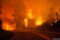 Лесные пожары в Португалии: Число погибших возросло до 63 человек