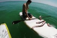 Гигантский кальмар отнял доску у серфингиста (видео)