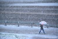 В Мурманске посреди июня выпал снег (видео)