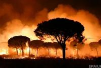 Юг Испании окутал лесной пожар, эвакуированы 1000 человек