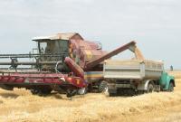 Украинские аграрии экспортировали рекордные 43,4 миллиона тонн зерновых