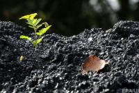 Ахметов остановил добычу угля на своих предприятиях Донбасса