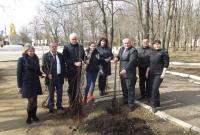 В память о героях АТО в Кировоградской области посадили 43 рябины
