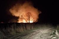 В Черкасской области горел Липовский орнитологический заказник