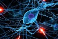 Ученые разработали клетки-убийцы опухолей мозга