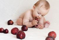 Исследователи из Норвегии доказали, что веганская диета родителей ухудшает интеллект детей