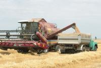 Украинские аграрии уже намолотили 38 миллионов тонн зерновых