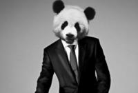 В США разыскивают грабителя в костюме панды