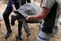 Биологи рассчитывают возродить вымерший подвид галапагосских черепах