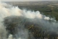 В Харьковской области пожар охватил 70 га леса