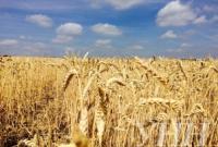 Аграрии уже намолотили 40 млн тонн зерна