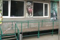 Обезьяны покалечили работника зоопарка под Харьковом