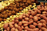 За месяц цены на картофель подскочили на 11%