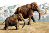 Ученые пообещали "воскресить" мамонтов через два года