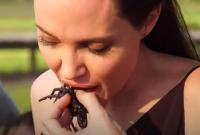 Анджелина Джоли перекусила пауками в Камбодже (видео)