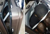 Испанские правоохранительные органы обнаружили мигрантов в чемодане и в сиденье автомобиля