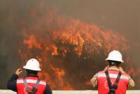В Чили объявлен красный уровень опасности из-за лесного пожара