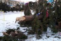 Среди бела дня на людной площади Переяслав-Хмельницкого упала главная елка