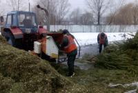 В Киеве открыли пункты приема на утилизацию новогодних елок