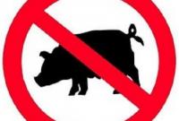 В Новоукраинском районе зафиксирована вспышка африканской чумы свиней