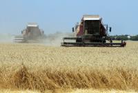 Урожай зерновых в Украине составил рекордные 66 миллионов тонн