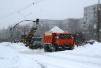 "Киевавтодор" назвал стоимость утилизации одной тонны снега