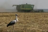 Сельхозпроизводство в Украине в прошлом году выросло на 6%