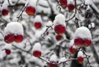 Погода в Украине на вторник: снег в северных областях