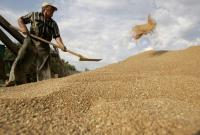 Украина заняла второе место в мире по урожайности пшеницы