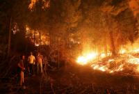 В результате масштабных лесных пожаров в Чили полностью сгорел целый город