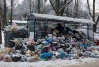 Во Львове еще остаются переполненными мусором 216 площадок