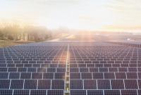 Apple построит в США еще одну солнечную электростанцию