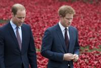 Принцы Уильям и Гарри установят в Лондоне памятник принцессе Диане