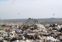 В Украине загрязнено 20% земель - министр экологии