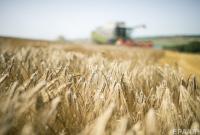 Австралийский зерновой гигант открыл представительство в Украине