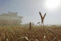 "Хлебное перемирие": оккупанты обстреляли трактор в поле (видео)