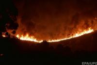 В Испании эвакуировали 2500 человек из-за масштабных лесных пожаров