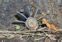 В ОБСЕ подтвердили гибель двух детей от мины вблизи Горловки