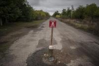 В Луганской области на противопехотной мине подорвалась местная жительница