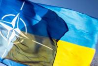 Вступление Украины в НАТО будет возможным при совместимости вооружений